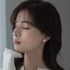 Small exquisite pearl silver needle stud earrings women's French elegant niche design temperament high-end earrings earrings
