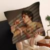 H-Harrys Music S-Styles Office Cushion Pillowcase Car Cushion Cover45X45CM Lumbar Pillowcase Sofa Pillowcover
