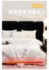 High Count Cotton 99% Soybean All Season Light Luxury 2-in-1 Household Thick Quilt