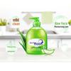 Blue Moon Aloe Antibacterial Hand Wash Set