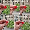 Adjustable 8-Hole DIY Drip Irrigation Kit for Gardens & Balconies
