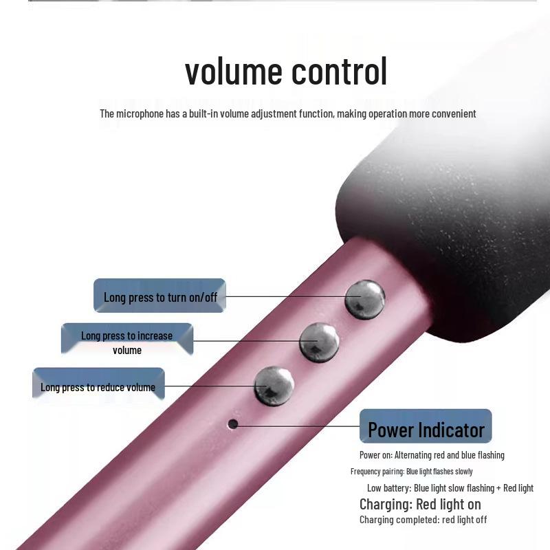 Wireless Teaching Amplifier with Microphone - High Volume Speaker for Classrooms