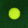 HONMA Golf Officieel Golf HONMA D1 1 Sleeve Ballen, SPIN, Geel, (3 Ballen)