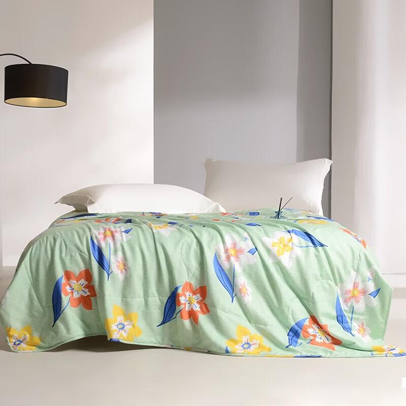 Hongxiushifang All-Season Nano Pearl Fiber Comforter