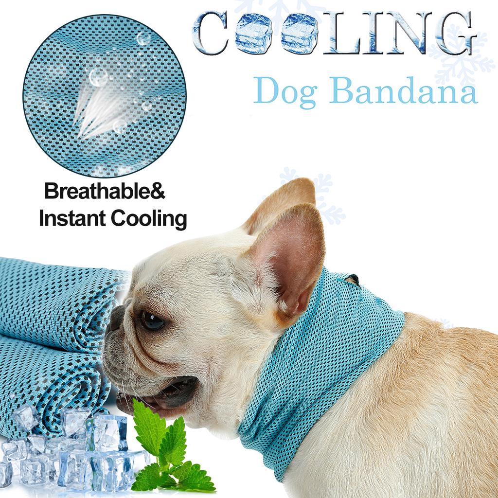 pet cooling collar