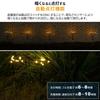 Gardenmaster Clarte LED Solar with Automatic No Electricity Christmas Light, Firefly, Switch, Waterproof, Required, Stylish, Light, WCL-130001(GD)