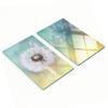 Set of Two Decorative Glass Dandelion Kitchen Boards 2x30x52 Cm
