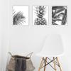 Nordic Minimalism Tropical Prints Palm Tree Leaves Wall Art Pineapple Poster Black White Canvas Painting Picture for Living Room No Frame