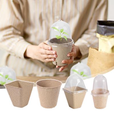 10PCS Seedling Cup with Lid Fruit Vegetable Seed Germination Nursery Cup Seedling Cultivation Pots Biodegradable Disposable