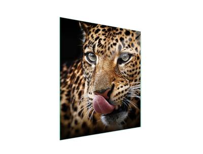 GLASS CUTTING BOARD 45x52 Panther