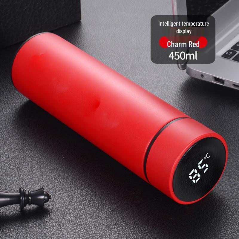 TLAKEHO 450ml 304 Stainless Steel Insulated Mug