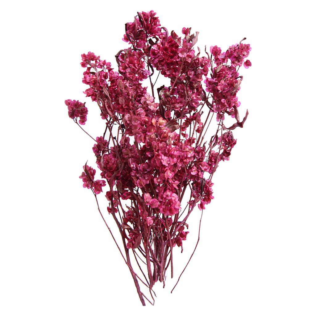 Букет из сушеных цветов Фото реквизит Кухонный домашний декор Композиции из сушеных цветов