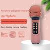 WS-898 Bluetooth Wireless Home Microphone with Built-in Speaker for Karaoke Apps