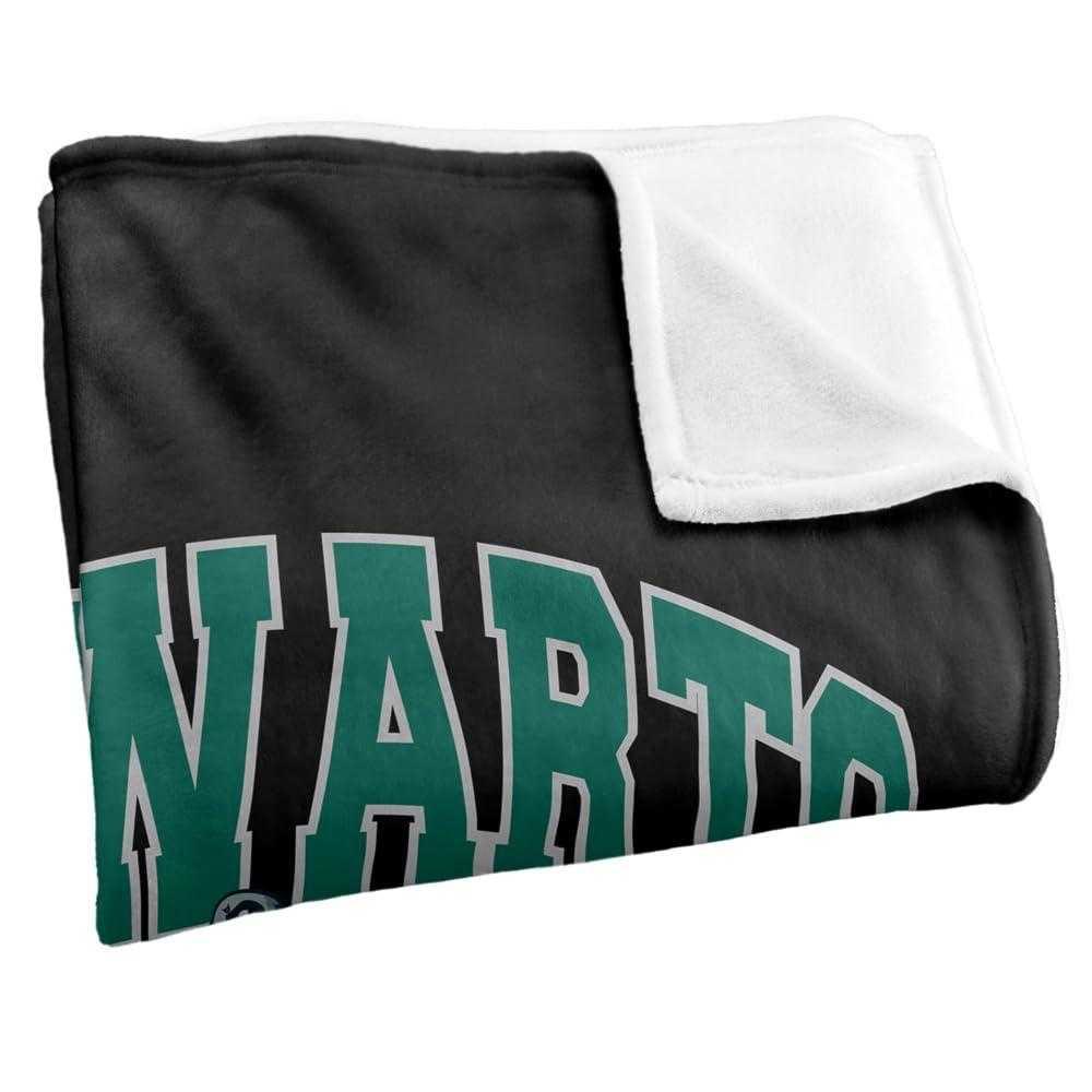 Harry Potter Hogwarts Alumni Slytherin Blanket
