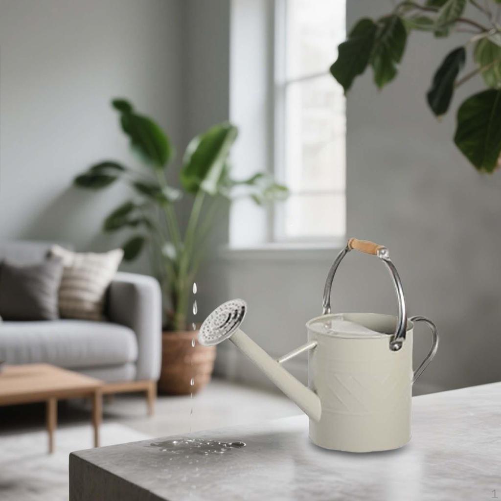 Indoor Plant Watering Can with Large Opening and Detachable Spout, Design