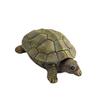 Figurine Tortue Statue Boîte à Bijoux Collier Boucles d'Oreilles Bracelets Décor Support Magnifiquement Fabriqué