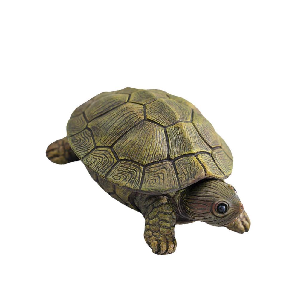 Jewelry Box Necklace Earrings Bracelets Decor Holder Turtle Figurine Statue