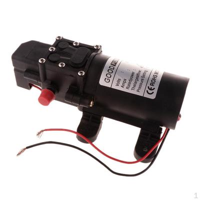 DC 12V Agricultural Electric Water Pump Micro Diaphragm Sprayer A