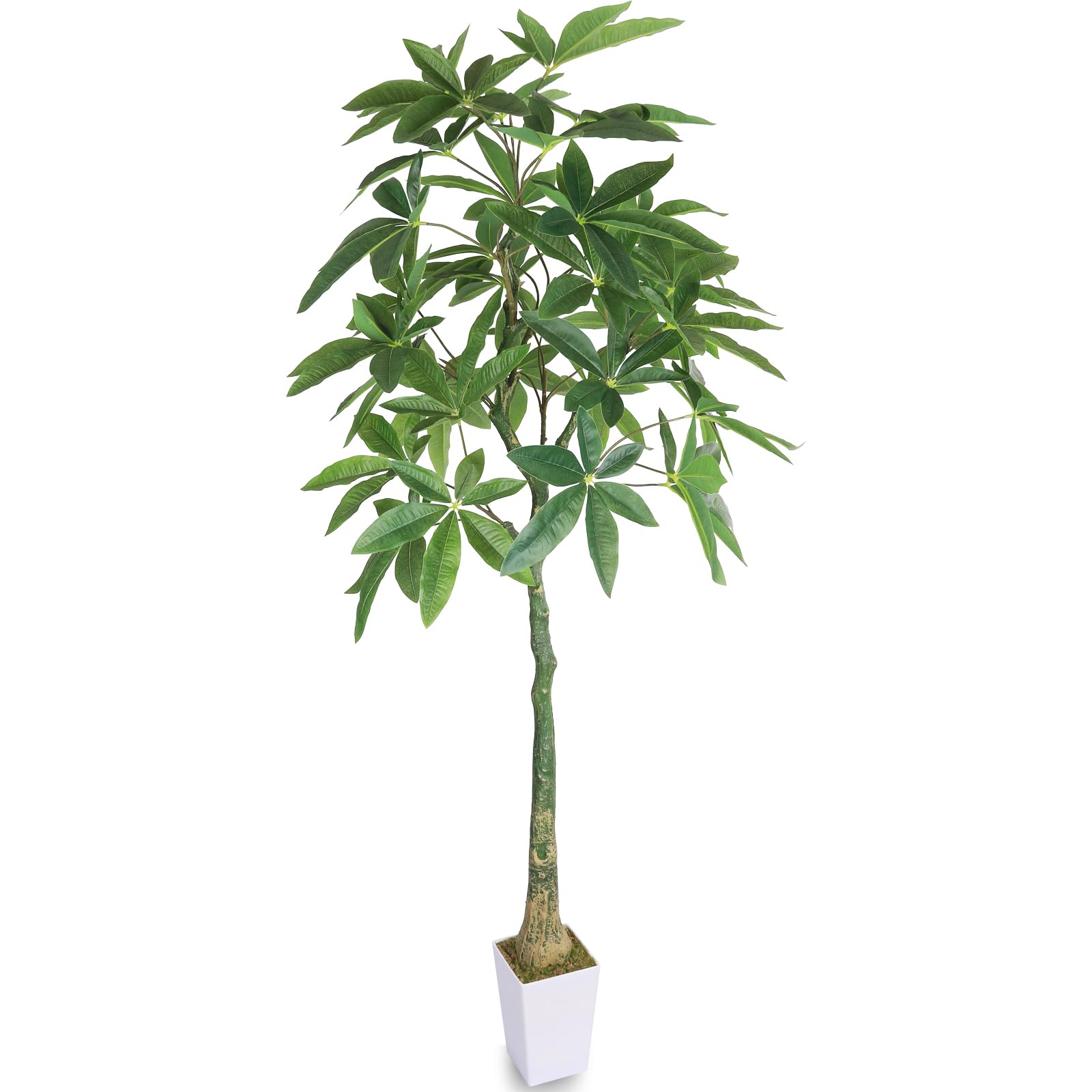 

Искусственное поддельное искусственное искусственное растение высота интерьерная комнатная декорация комнатное растение, зеленый, фотокатализатор, цветок, [Пахира, 150см] Комнатное растение,