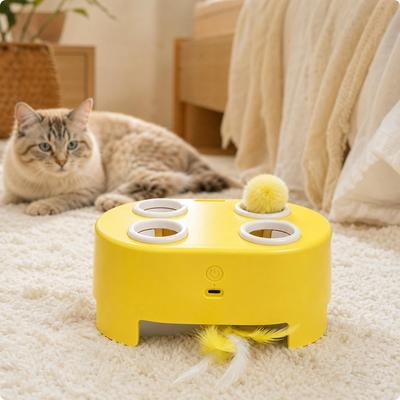 Interactive Cat Toy Motorized Electric Indoor for Kittens
