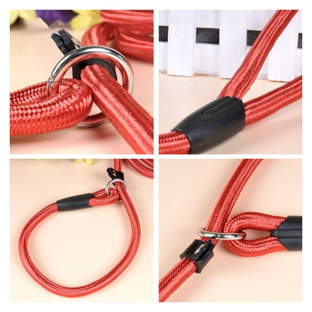 Pet Puppy Dog Leash Slip Rope Lead Leash Nylon Slip Chains Collar No Pull Training Lead Leashes for Small Dogs Black Red Blue