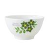 Jinmingli Greenery Keramická 14dílná jídelní sada