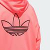 Adidas Originals Ae Foundation Hoodie Men Hoodies Acid-Red IR5638