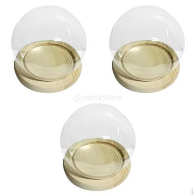 3x Glass Display Cloche Bell Jar Dome Cover Flower Preservation Wooden