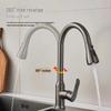 TLXT Black Stainless Steel Wall-Mounted Pull-Out Kitchen Faucet