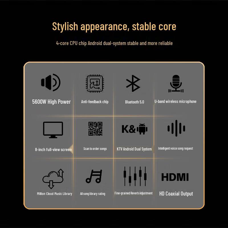 Songchuan SY70-12 KTV & Conference Audio System CN plug (adapter included)