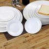 Driane Pure White Ceramic Dinner Plate