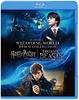 Harry Potter and the Philosopher's Stone & Fantastic Beasts and Where to Find Them Wizarding World Entrance Set Blu-ray (2-Disc Set) [Blu-ray]