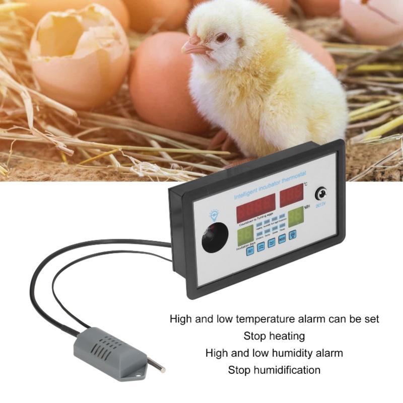 Intelligent Incubator Thermostat Automatic Egg Incubator Controller Thermostat For Eggs Duck Eggs Goose Eggs 12V