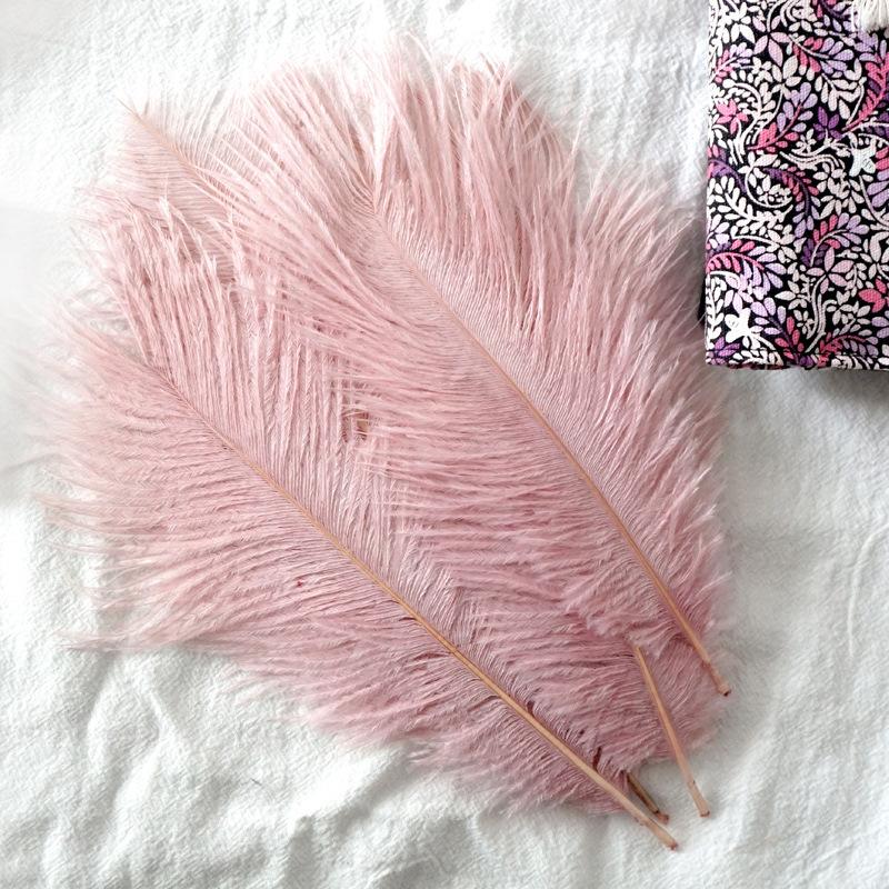 22-Color Ostrich Fur Big Feathers Wedding Background Wall Decorative Wall White Pink Feather Flower Arrangement 20-25Cm