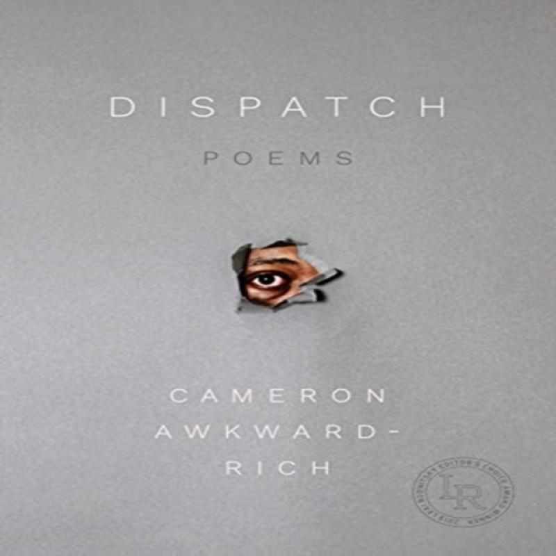 Dispatch by Cameron AwkwardRich Paperback Book 9780892555031