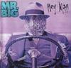 CD MR BIG  Hey Man 828672 Atlantic 1996 US Rock Used