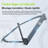 Vélo Électrique Tout Terrain 26×1.95", E-Bike L26 - Moteur 250W - Batterie 36V - Autonomie 70 km (Mode ASSIST) -Shimano 7 vitesses