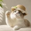 Adjustable Pet Sun Hat Lace Decor Dog Sun Protection Cap Fashion Cat Sunshade Hat  Walking Hiking