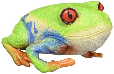 Latex Model of a Red-eyed Tree Frog