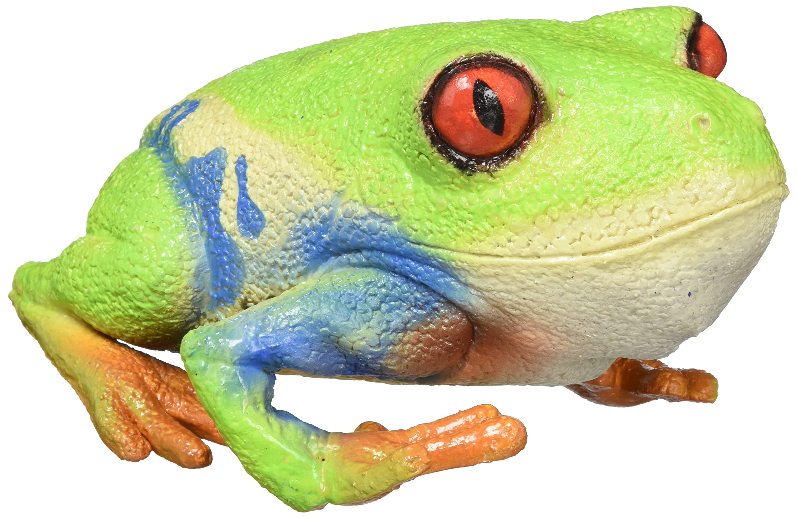 

Latex model of a red-eyed tree frog