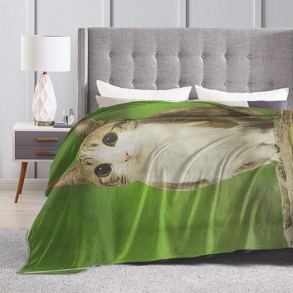 Cat Owl Funny Cursed Internet Trendy Meme Blankets Flannel Bedding Throws For Couch Chair Sofa Bed Warm Bedspread Gift Idea