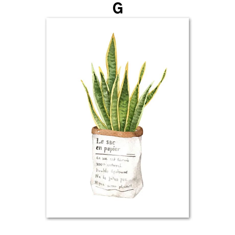 Green Plants Wall Art Canvas Painting Cactus Tiger Pilan Monstera Posters And Prints Wall Pictures For Living Room Decor