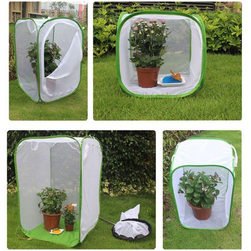 Housing Enclosure Seedling Incubator Mantis Mesh Cage Insect Cage Habitat Cage Butterfly Box