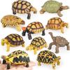 Oenux Reptile Animals Star Turtle Tortoise Geochelone Model Figurines Action Figures PVC Ornament Education Kid Toy Gift