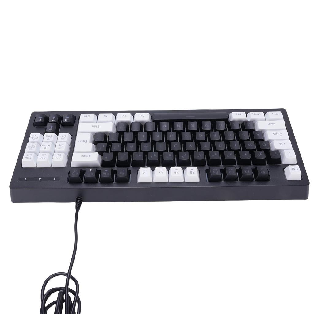 RGB Backlit Gaming Keyboard 87 Keys Compact Keyboard USB Wired Keyboard for PC Laptop Gamers Typist