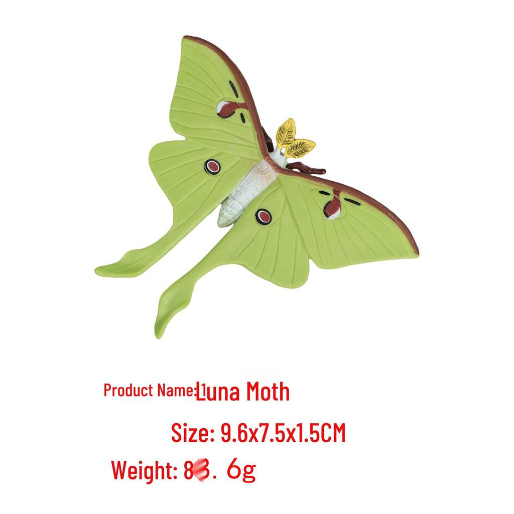 "Wildes Meerestier Simulationsmodell": Kinder Bildungs-Heimdeko-Spielzeug"