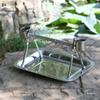 Stainless Steel Bird Stand with Ankle Chain for Large Parrots and Cockatiels
