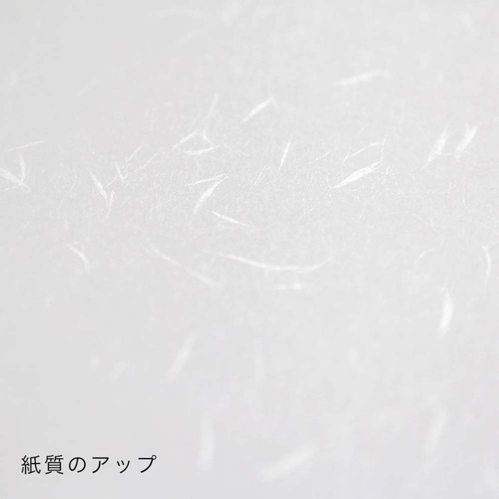 Oonachi Copy Paper, Japanese Washi Paper, Thick, White, A4, 500 Sheets, 206020002