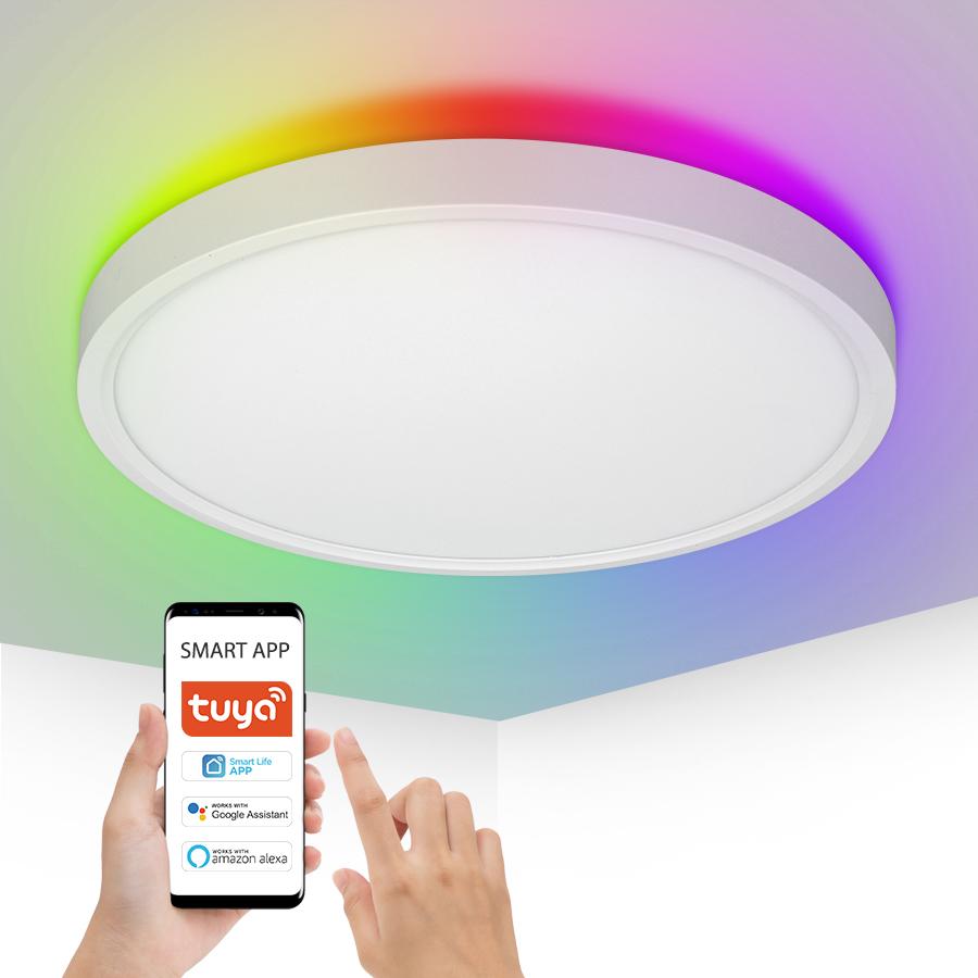 Smart Control Led Colorful Ceiling Light for Living Room Dining Room Decorative Excellent Atmosphere Creater Lamp