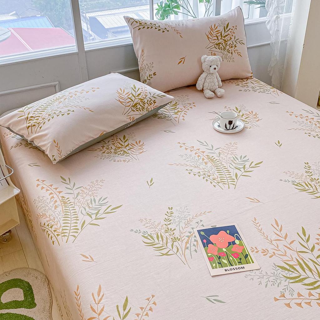 Pure Cotton Three-Piece Bed Sheet Set - Coarse Cloth, Fitted, Suitable for Dorms and Babies
